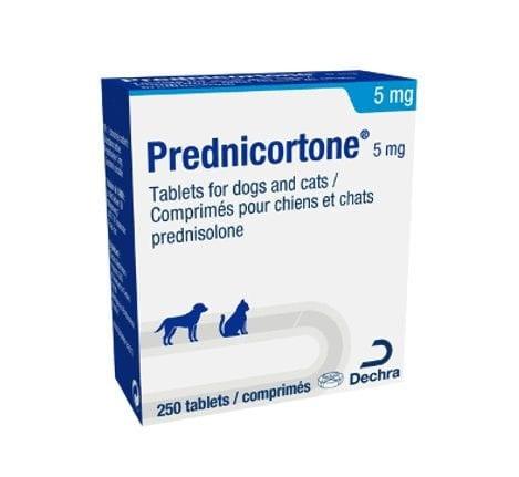 Prednicortone 5mg Tablets for Dogs and Cats - Single tablet Image https://cdn11.bigcommerce.com/s-g585yu857h/images/stencil/1280w/products/14041/24225/Prednicortone-5mg-Tablets-for-Dogs-and-Cats-Single-Tablet__33011.1783595194.jpg1