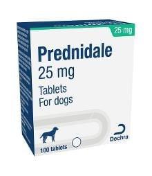 Prednidale Tablets for Dogs and Cats Image https://cdn11.bigcommerce.com/s-g585yu857h/images/stencil/1280w/products/14049/24233/Prednidale-Tablets-Single-Tablet-25mg__29360.1764229473.jpg1