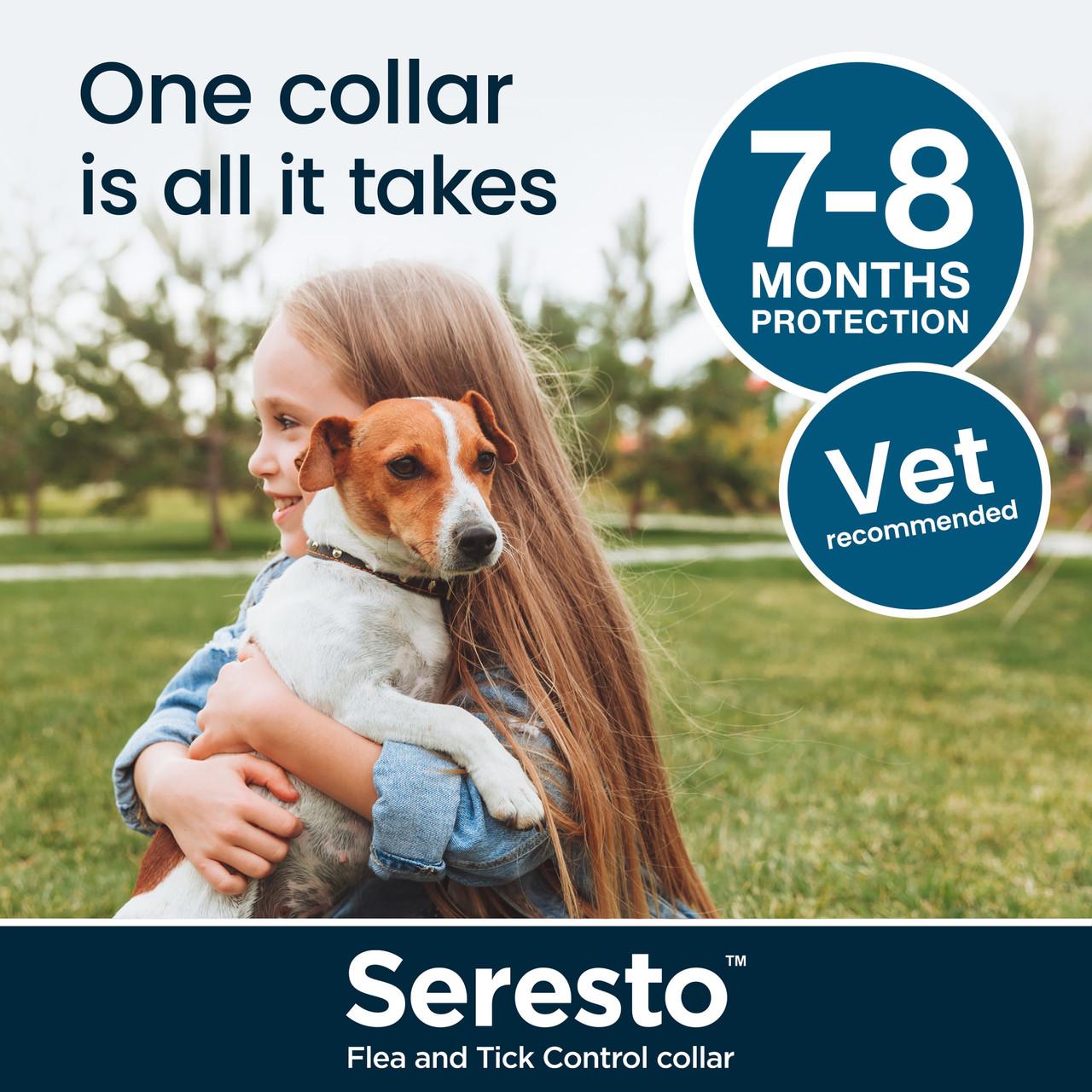 Seresto Flea and Tick Collar for Dogs Image https://cdn11.bigcommerce.com/s-g585yu857h/images/stencil/1280w/products/14057/24547/Seresto-Flea-and-Tick-Collar-for-Dogs-Small-Dog-Collar-up-to-8kg__21652.1764229667.jpg1