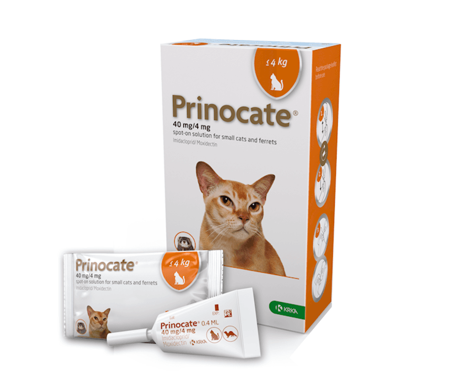 Prinocate Spot-On Solution for Cats Image https://cdn11.bigcommerce.com/s-g585yu857h/images/stencil/1280w/products/14062/24245/4mg-Small-Cats-%28up-to-4kg%29-an__69260.1764229480.png1