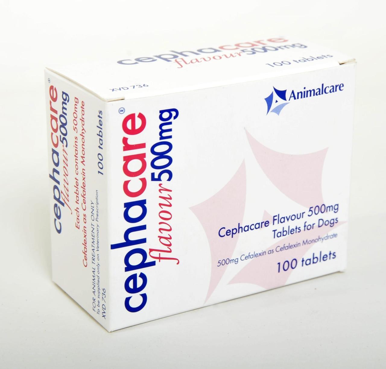 Cephacare Flavour Tablets for Dogs and Cats Image https://cdn11.bigcommerce.com/s-g585yu857h/images/stencil/1280w/products/14063/24246/Cephacare-Flavour-Tablets-Single-Tablet-500mg__72370.1764229480.jpg1