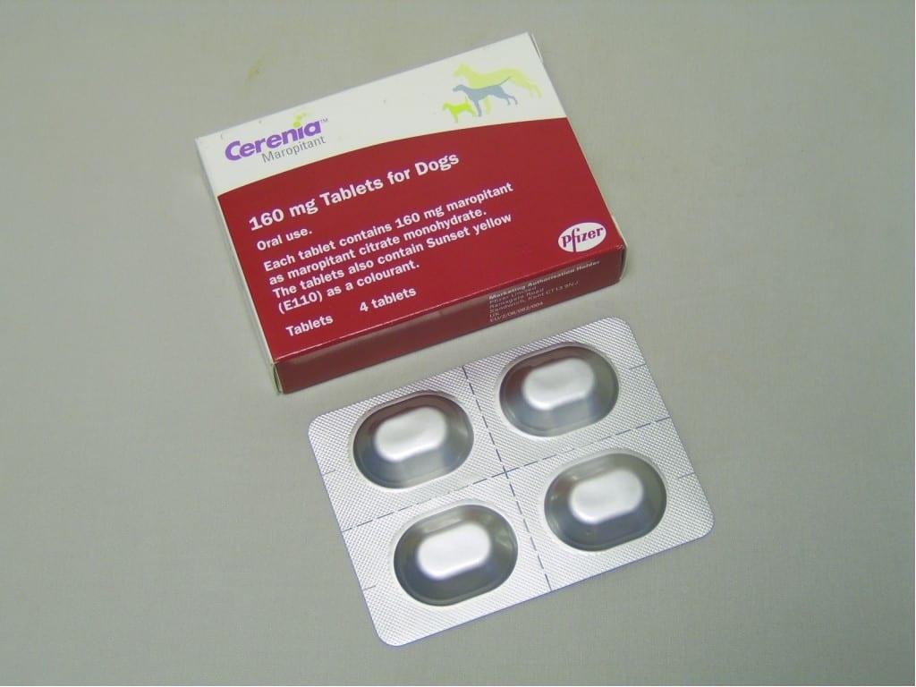 Cerenia Tablets for Dogs Image https://cdn11.bigcommerce.com/s-g585yu857h/images/stencil/1280w/products/14072/24255/Cerenia-Tablets-for-Dogs-Single-Tablet-160mg__26776.1764229486.jpg1