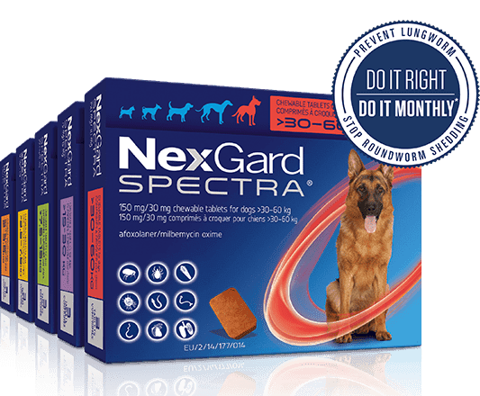 NexGard Spectra Tablets for Dogs Image https://cdn11.bigcommerce.com/s-g585yu857h/images/stencil/1280w/products/14076/24259/NexGard-Spectra-Tablets-for-Dogs-Pack-of-3-Large-Dog-15-30kg__31984.1764229488.png1