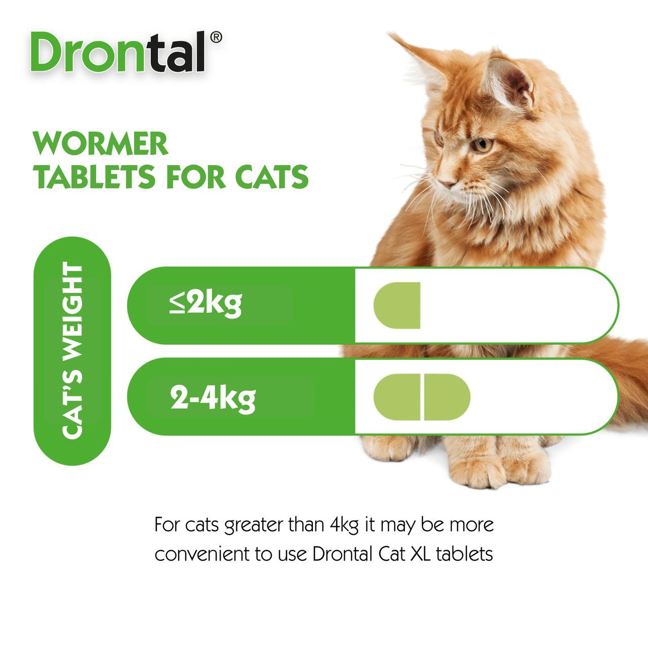 Drontal Wormer Tablets for Small & Medium Cats - Single tablet Image https://cdn11.bigcommerce.com/s-g585yu857h/images/stencil/1280w/products/14121/31665/Drontal_Wormer_Tablets_for_Small_Medium_Cats_-_Single_tablet_03__81027.1779881751.jpg1