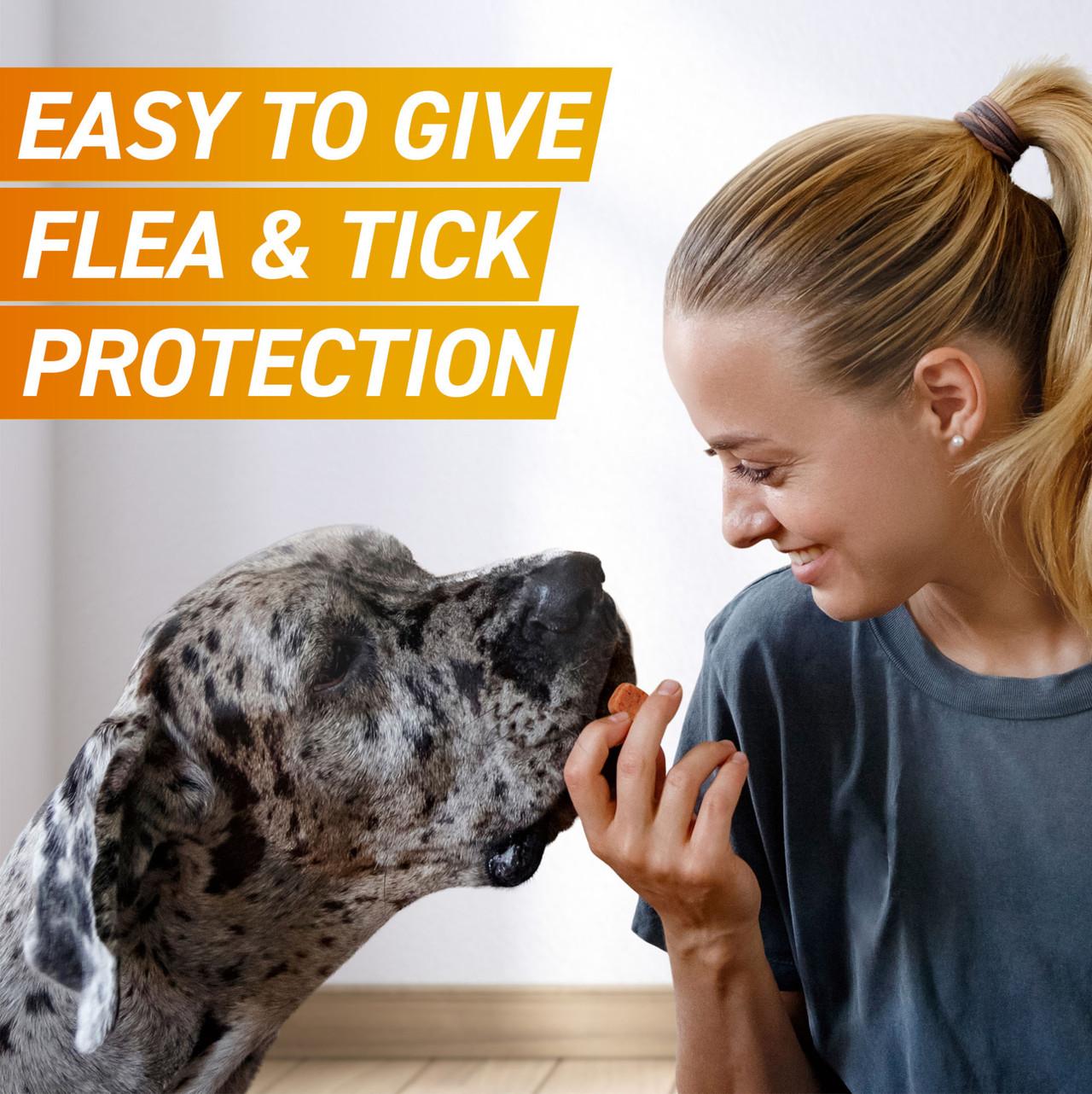FRONTPRO Chewable Tablets Flea & Tick Treatment for Dogs Image https://cdn11.bigcommerce.com/s-g585yu857h/images/stencil/1280w/products/14125/24552/FRONTPRO-Chewable-Tablets-Flea-%26-Tick-Treatment-for-Dogs-%284-10kg%29-3-Pack__68974.1764229670.jpg1