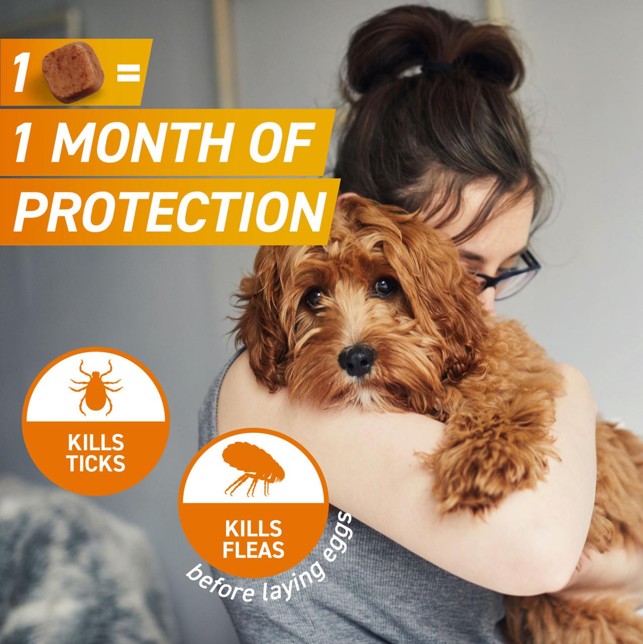 FRONTPRO Chewable Tablets Flea & Tick Treatment for Dogs Image https://cdn11.bigcommerce.com/s-g585yu857h/images/stencil/1280w/products/14125/24553/FRONTPRO-Chewable-Tablets-Flea-%26-Tick-Treatment-for-Dogs-%284-10kg%29-3-Pack__21868.1764229671.jpg1