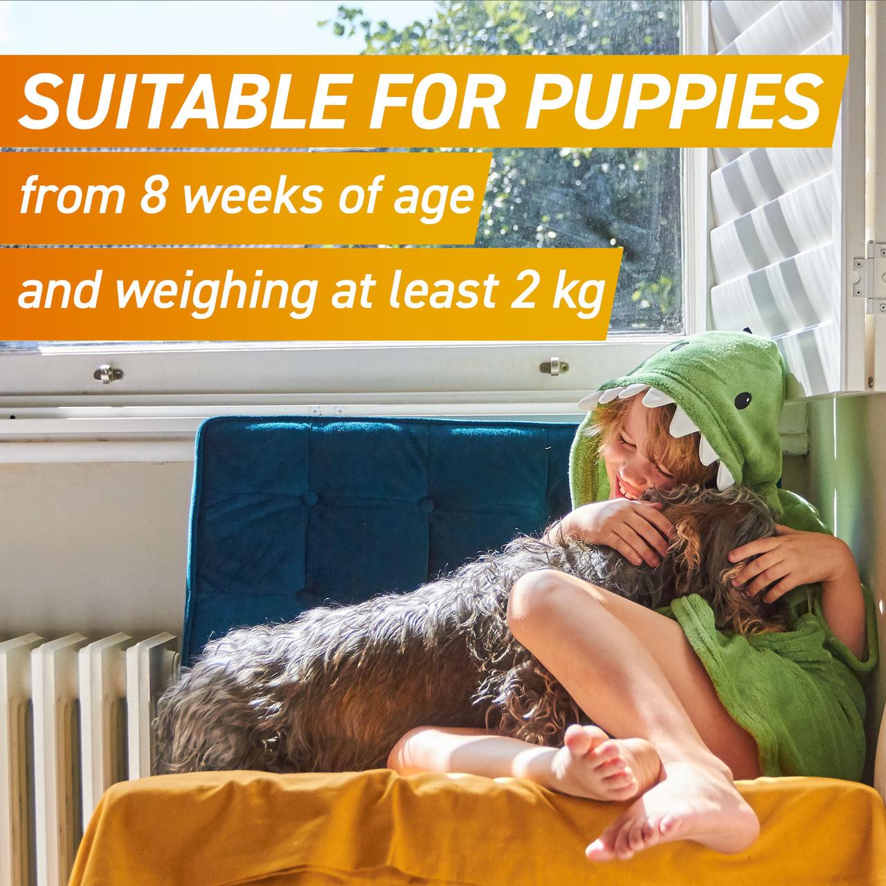 FRONTPRO Chewable Tablets Flea & Tick Treatment for Dogs Image https://cdn11.bigcommerce.com/s-g585yu857h/images/stencil/1280w/products/14125/24555/FRONTPRO-Chewable-Tablets-Flea-%26-Tick-Treatment-for-Dogs-%284-10kg%29-3-Pack__89136.1764229672.jpg1