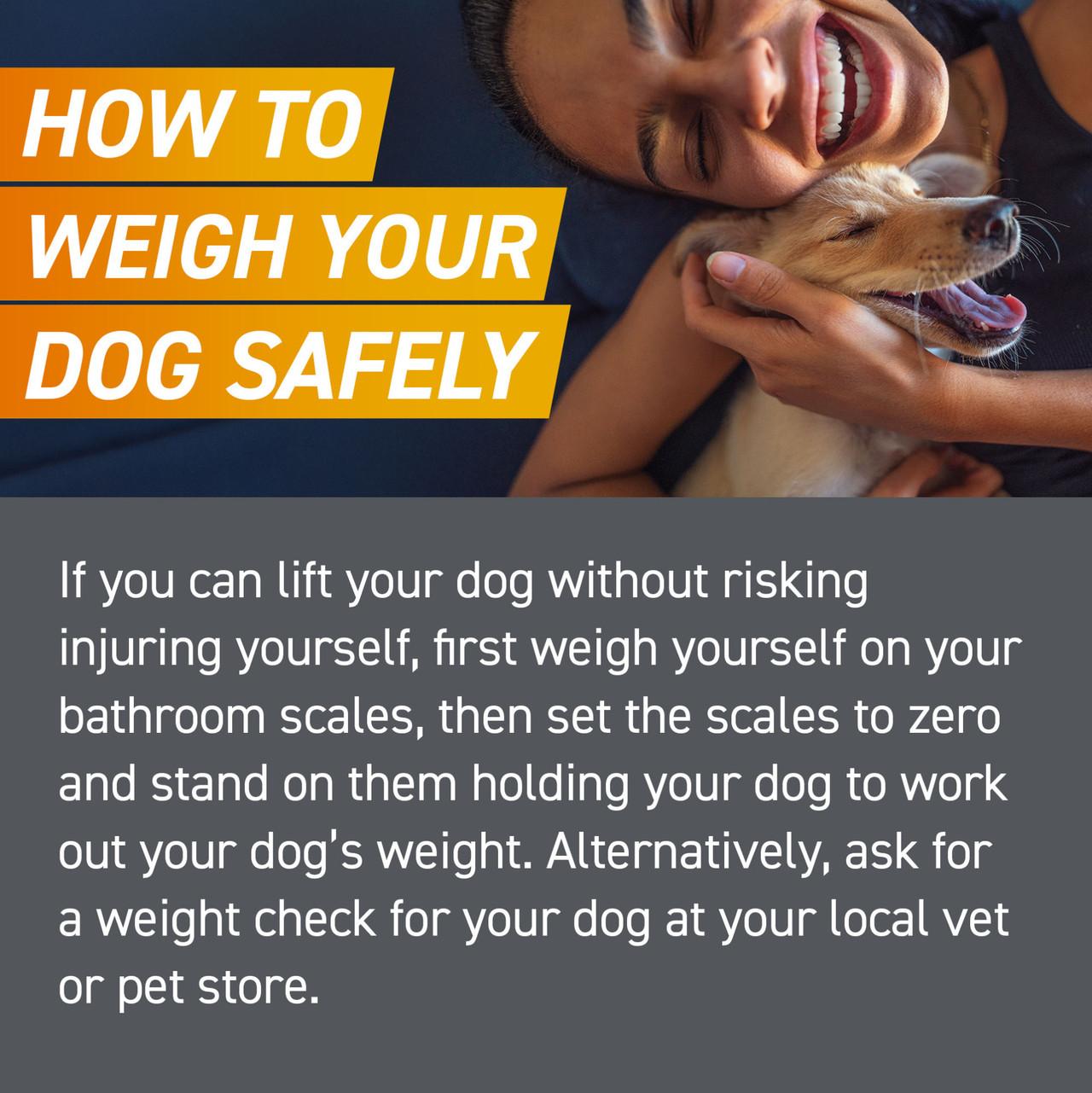 FRONTPRO Chewable Tablets Flea & Tick Treatment for Dogs Image https://cdn11.bigcommerce.com/s-g585yu857h/images/stencil/1280w/products/14125/24557/FRONTPRO-Chewable-Tablets-Flea-%26-Tick-Treatment-for-Dogs-%284-10kg%29-3-Pack__32267.1764229673.jpg1