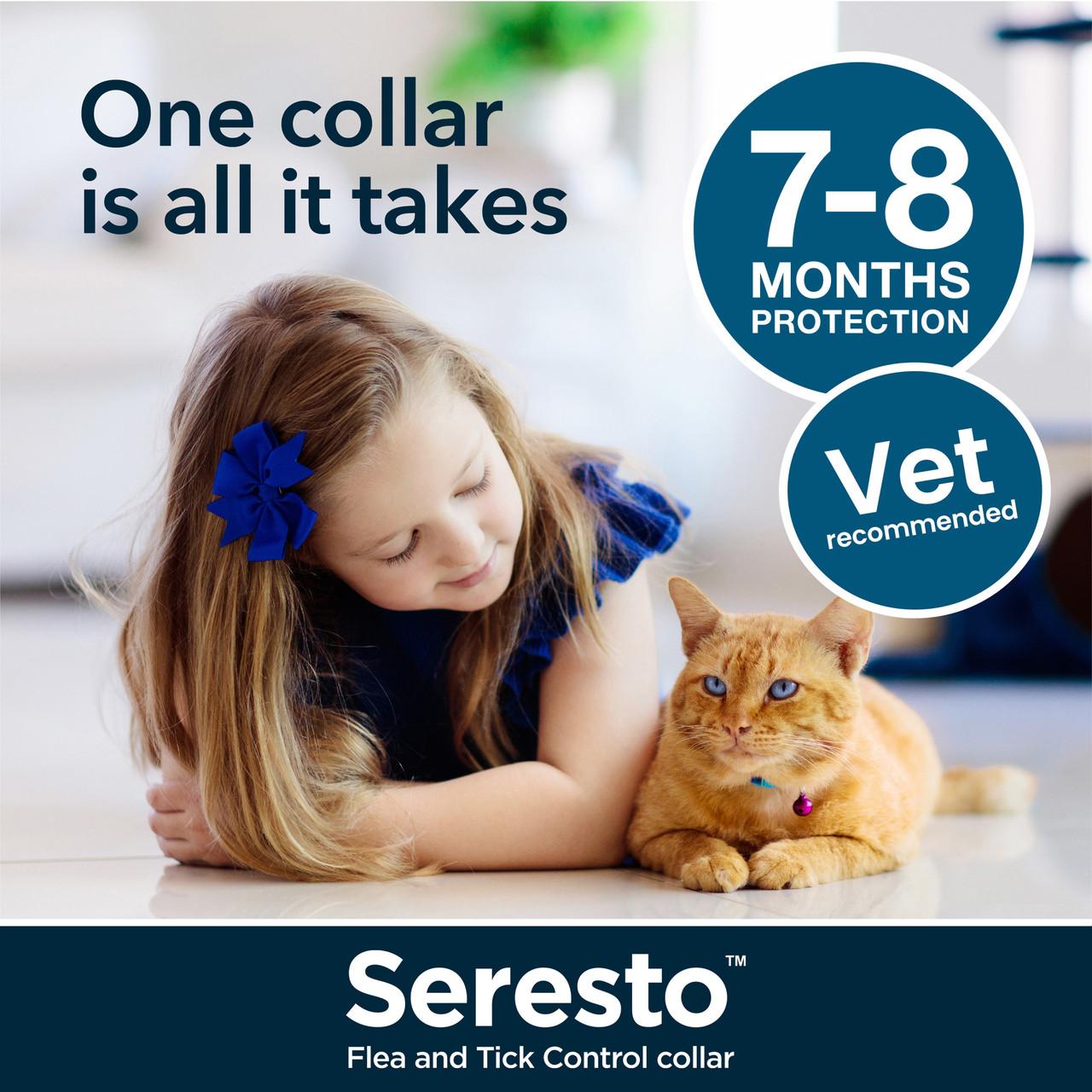 Seresto Flea and Tick Collar for Cats - Single Collar Image https://cdn11.bigcommerce.com/s-g585yu857h/images/stencil/1280w/products/14128/24561/Seresto-Flea-and-Tick-Collar-for-Cats-Single-Collar__00568.1764229675.jpg1