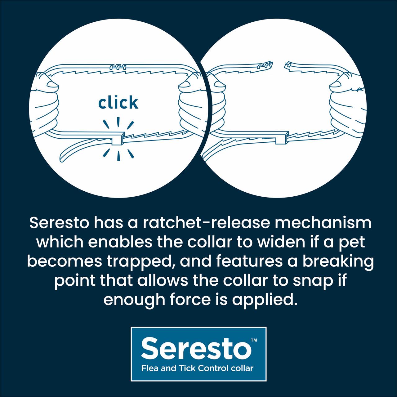 Seresto Flea and Tick Collar for Cats - Single Collar Image https://cdn11.bigcommerce.com/s-g585yu857h/images/stencil/1280w/products/14128/24563/Seresto-Flea-and-Tick-Collar-for-Cats-Single-Collar__98513.1764229676.jpg1