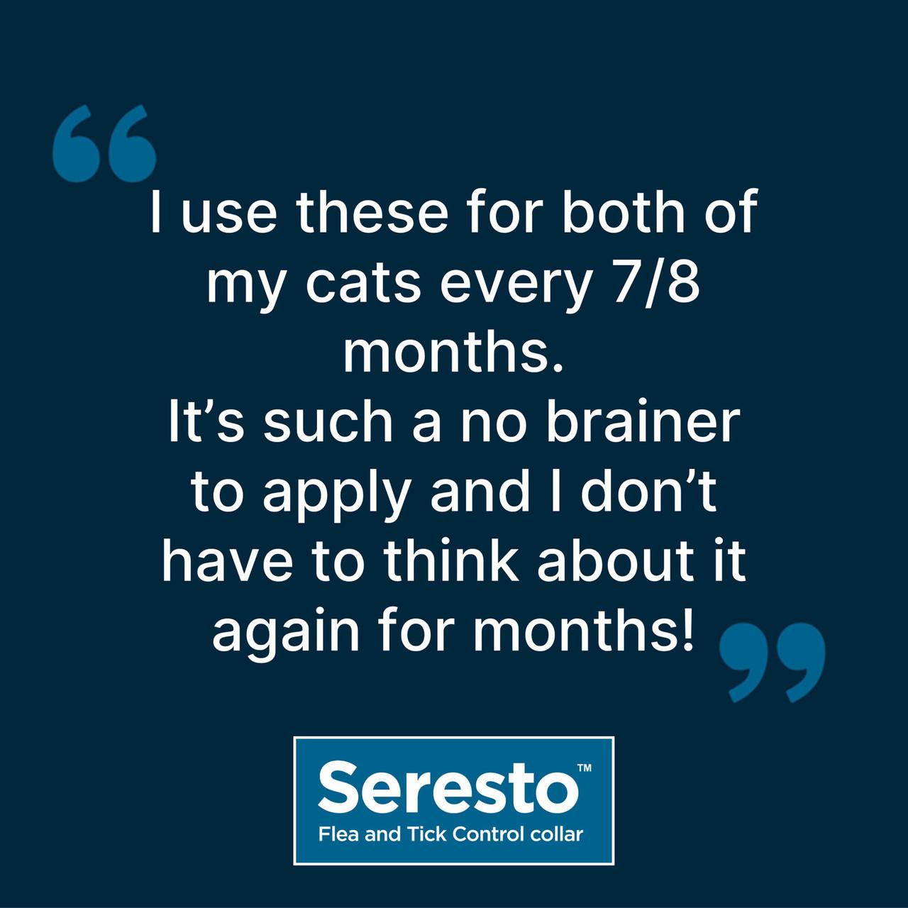 Seresto Flea and Tick Collar for Cats - Single Collar Image https://cdn11.bigcommerce.com/s-g585yu857h/images/stencil/1280w/products/14128/24564/Seresto-Flea-and-Tick-Collar-for-Cats-Single-Collar__51025.1764229677.jpg1