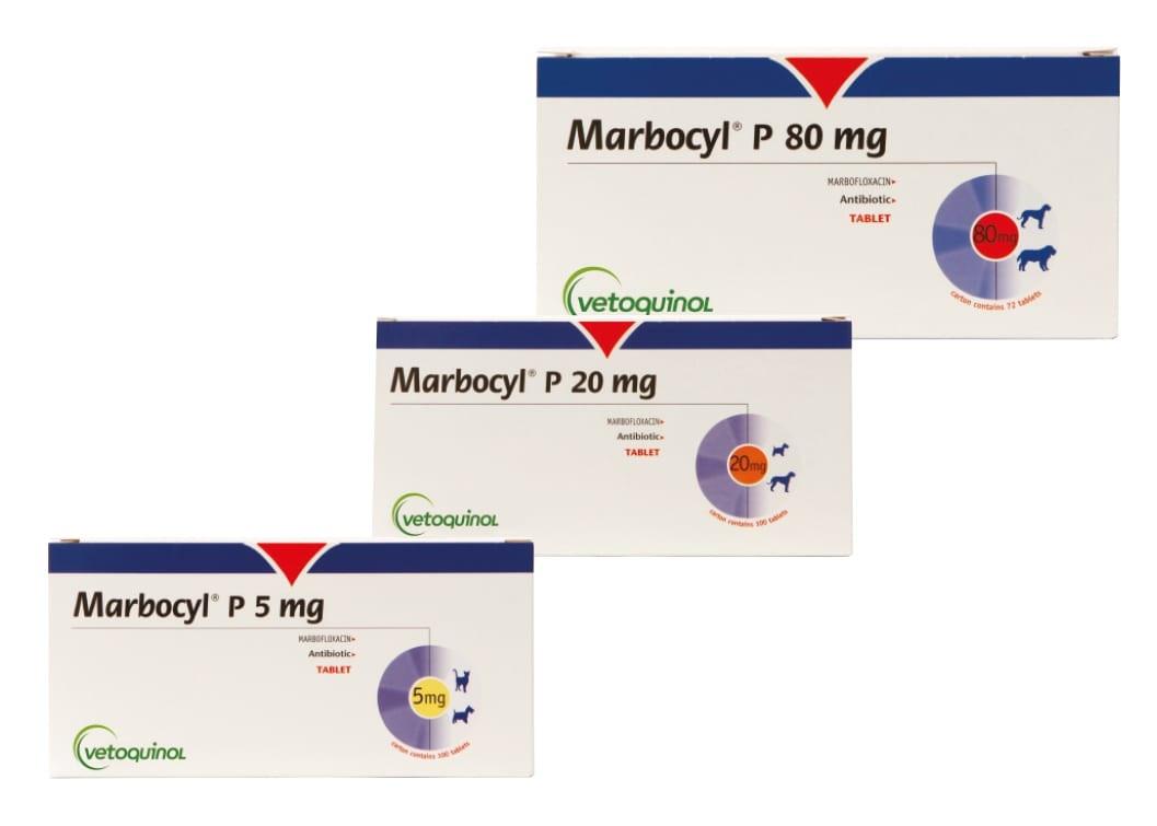 Marbocyl P Tablets for Dogs and Cats Image https://cdn11.bigcommerce.com/s-g585yu857h/images/stencil/1280w/products/14145/24321/Marbocyl-P-Tablets-Single-Tablet-5mg__10545.1764229523.jpg1