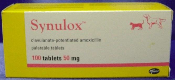Synulox Palatable Tablets for Dogs and Cats Image https://cdn11.bigcommerce.com/s-g585yu857h/images/stencil/1280w/products/14157/24331/Synulox-Palatable-Tablets-Single-Tablet-50mg-Cat-and-Dog__79708.1764229529.jpg1