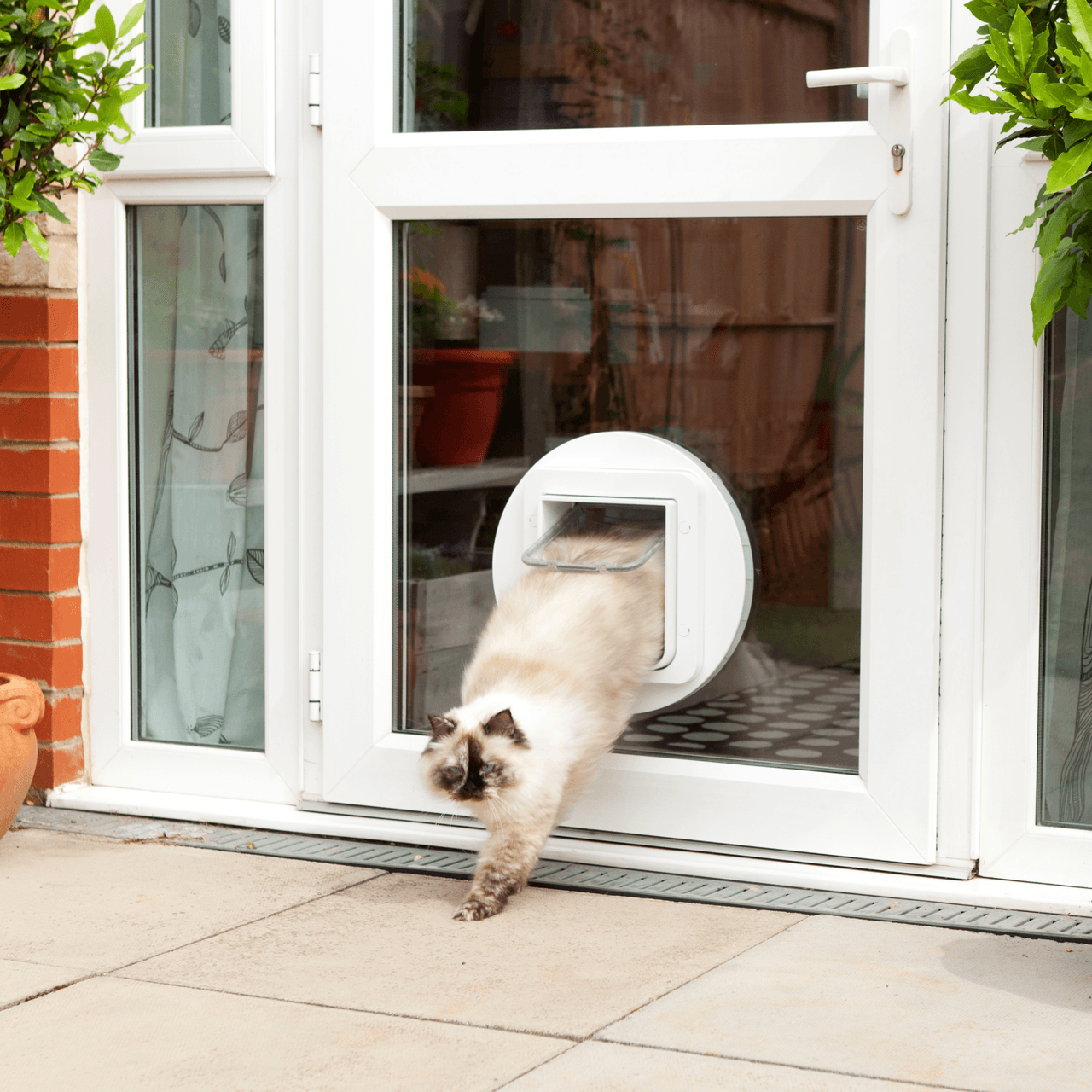 SureFlap Microchip Pet Door Mounting Adaptor - White Image https://cdn11.bigcommerce.com/s-g585yu857h/images/stencil/1280w/products/14164/24497/Microchip-Pet-Door-Mounting-Adaptor---White__23494.1764229631.png1