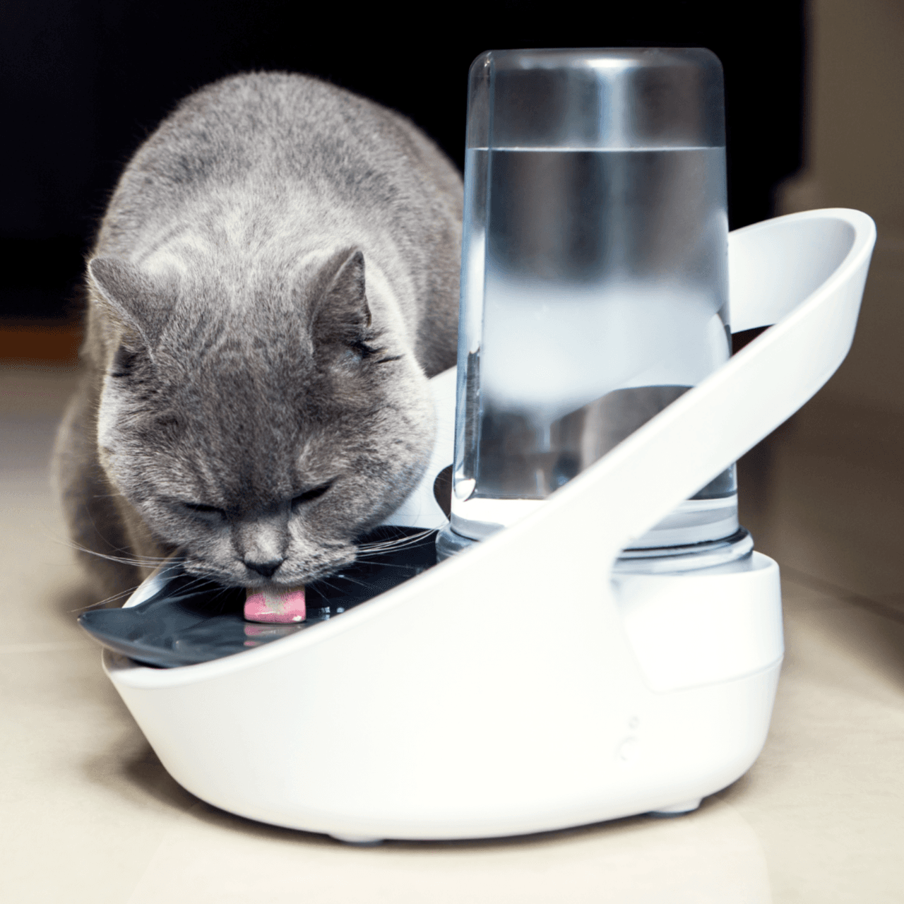 Sure Petcare Felaqua Connect Pet Water Bowl - White Image https://cdn11.bigcommerce.com/s-g585yu857h/images/stencil/1280w/products/14171/24500/Felaqua-Connect__38668.1764229633.png1