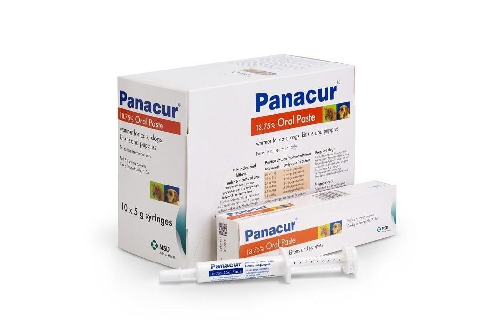 Panacur Oral Paste for Cats and Dogs - Single syringe Image https://cdn11.bigcommerce.com/s-g585yu857h/images/stencil/1280w/products/14181/24349/Panacur-Oral-Paste-for-Cats-and-Dogs-Single-Syringe__16759.1764229540.jpg1