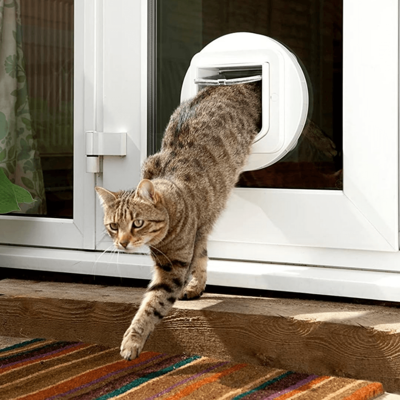 SureFlap Microchip Pet Door Tunnel Extender - White - single Image https://cdn11.bigcommerce.com/s-g585yu857h/images/stencil/1280w/products/14184/24510/Microchip-Pet-Door-Tunnel-Extender---White---1-pack__89947.1764229640.png1