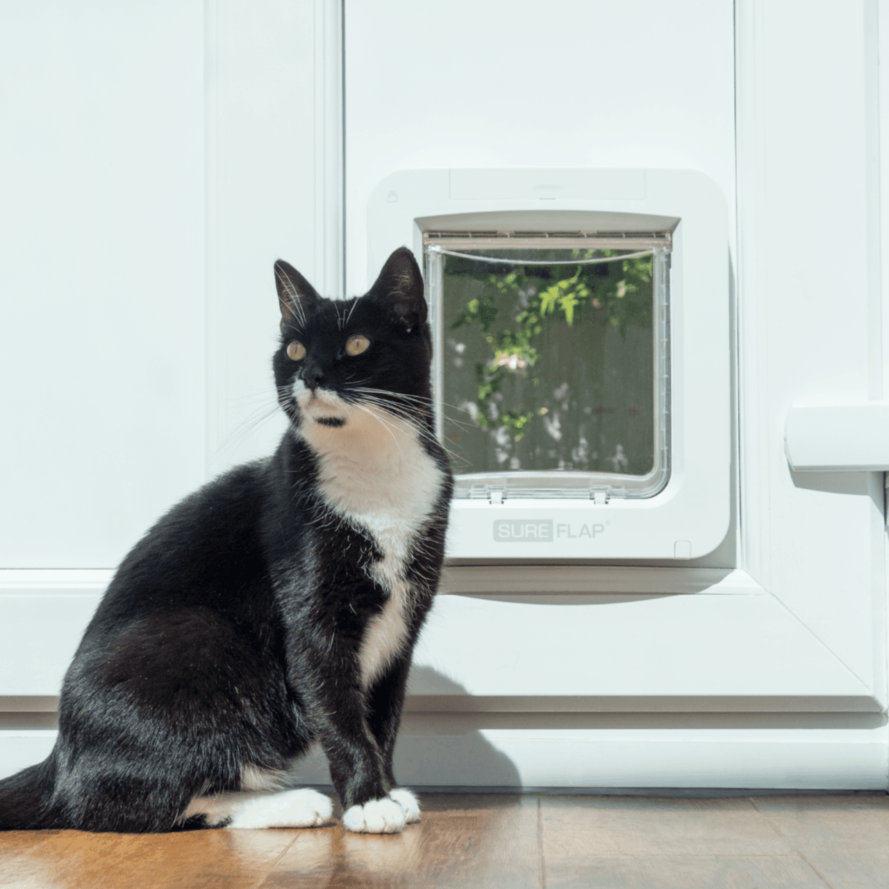 SureFlap Microchip Pet Door Connect - White Image https://cdn11.bigcommerce.com/s-g585yu857h/images/stencil/1280w/products/14196/24532/Microchip-Pet-Door-Connect---White__88822.1764229657.png1