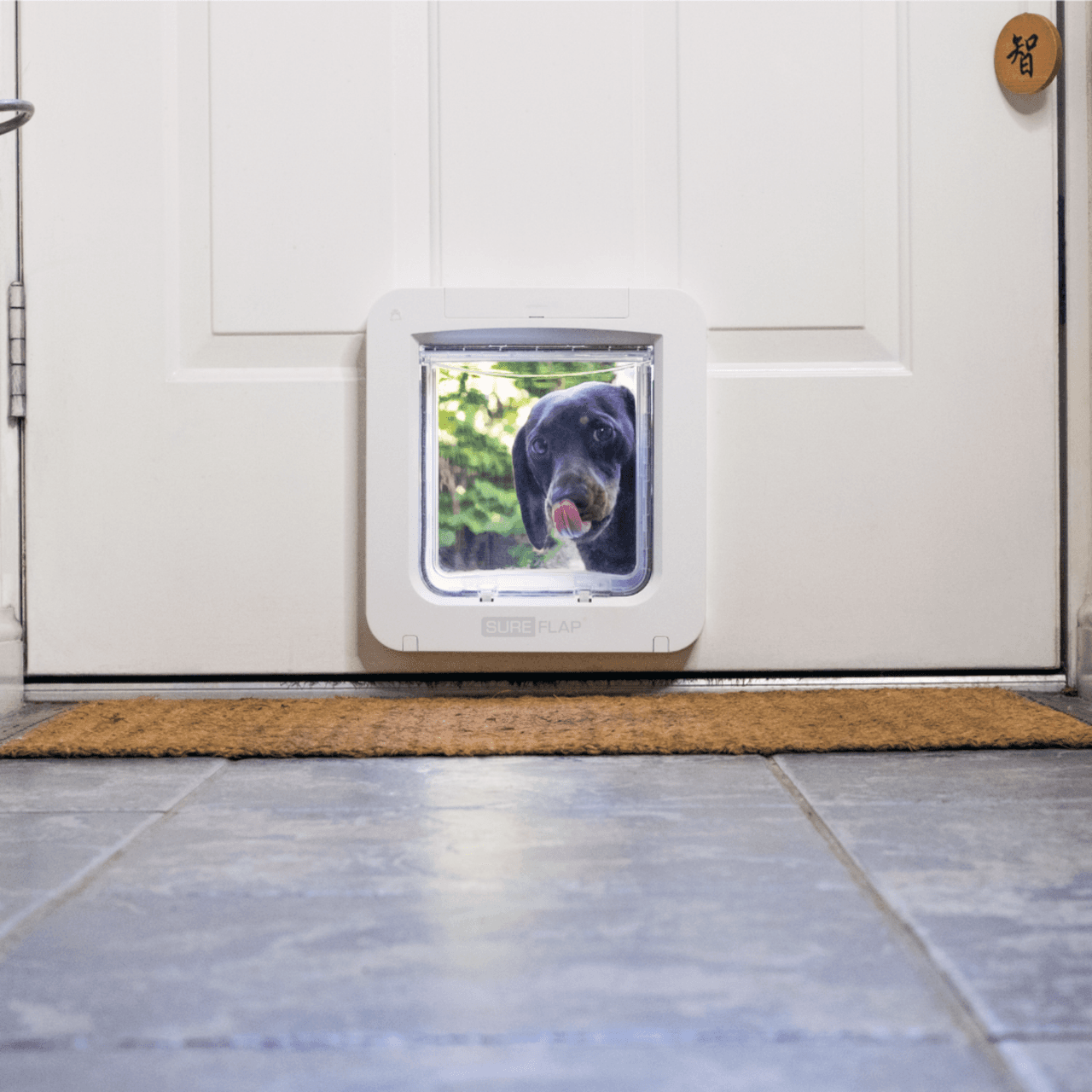 SureFlap Microchip Pet Door Connect - White Image https://cdn11.bigcommerce.com/s-g585yu857h/images/stencil/1280w/products/14196/24534/Microchip-Pet-Door-Connect---White__10441.1764229658.png1
