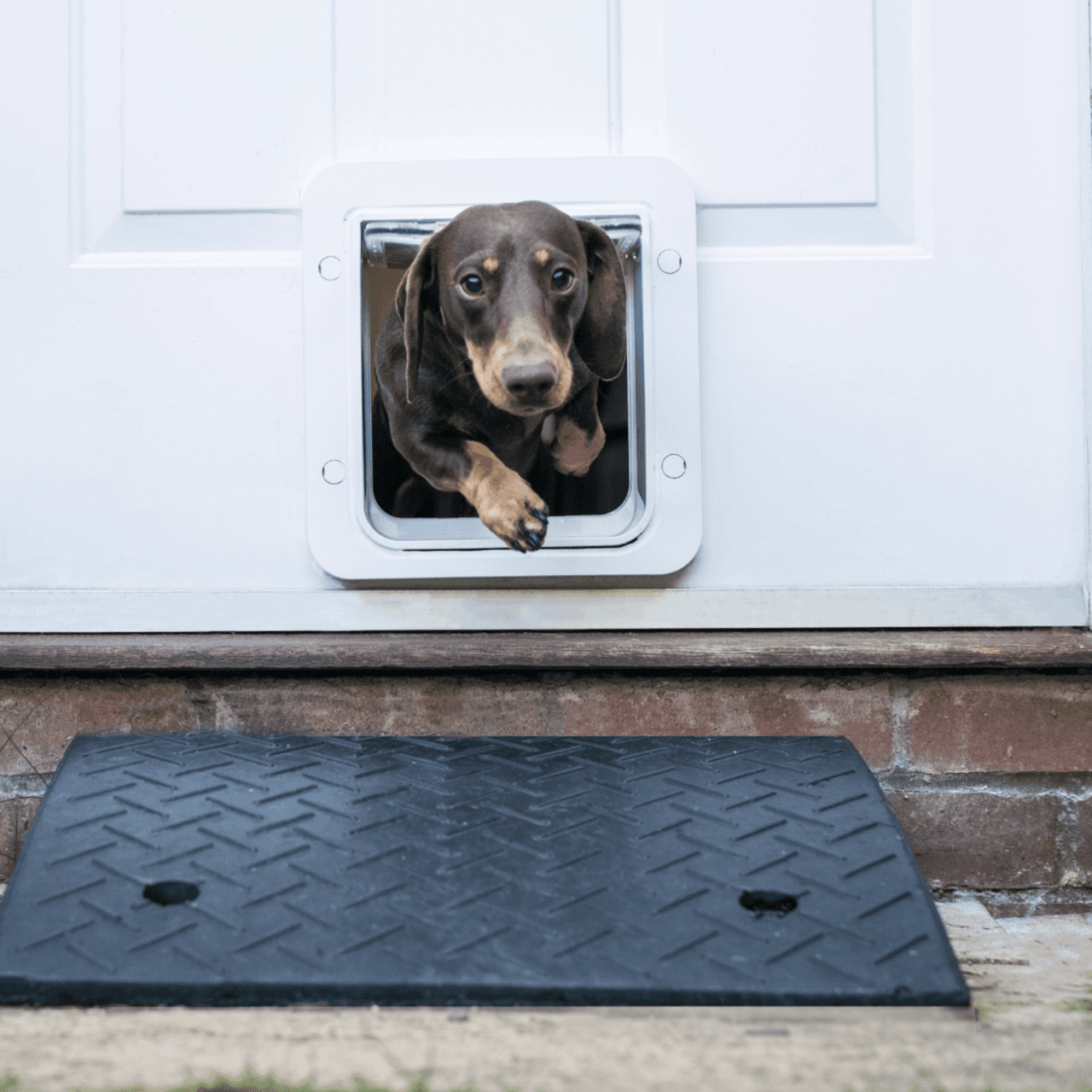 SureFlap Microchip Pet Door Connect - White and Hub Image https://cdn11.bigcommerce.com/s-g585yu857h/images/stencil/1280w/products/14203/24516/Microchip-Pet-Door-Connect---White-and-Hub__72033.1783595164.png1