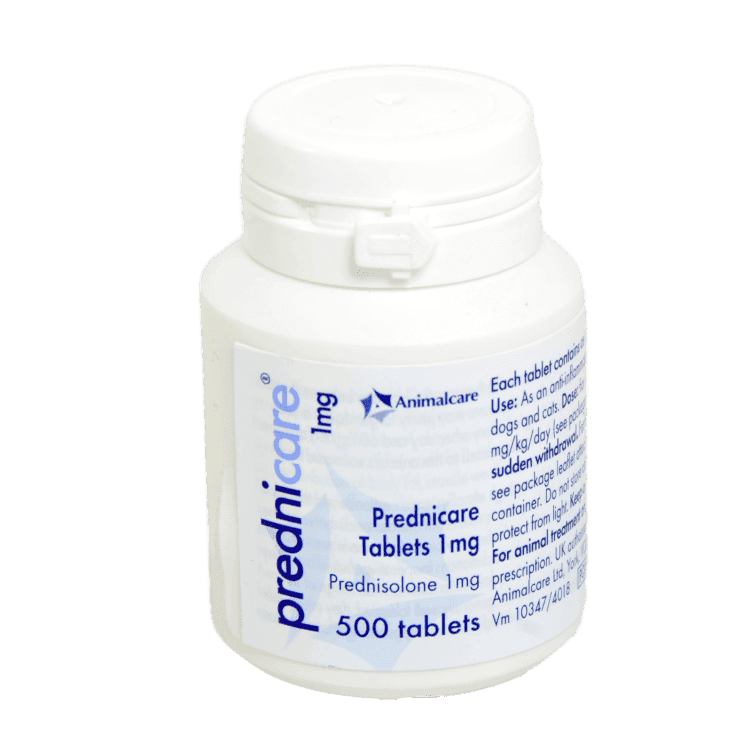 Prednicare Tablets for Dogs and Cats Image https://cdn11.bigcommerce.com/s-g585yu857h/images/stencil/1280w/products/14210/24374/Prednicare-Tablets-Single-Tablet-1mg__74672.1764229555.png1
