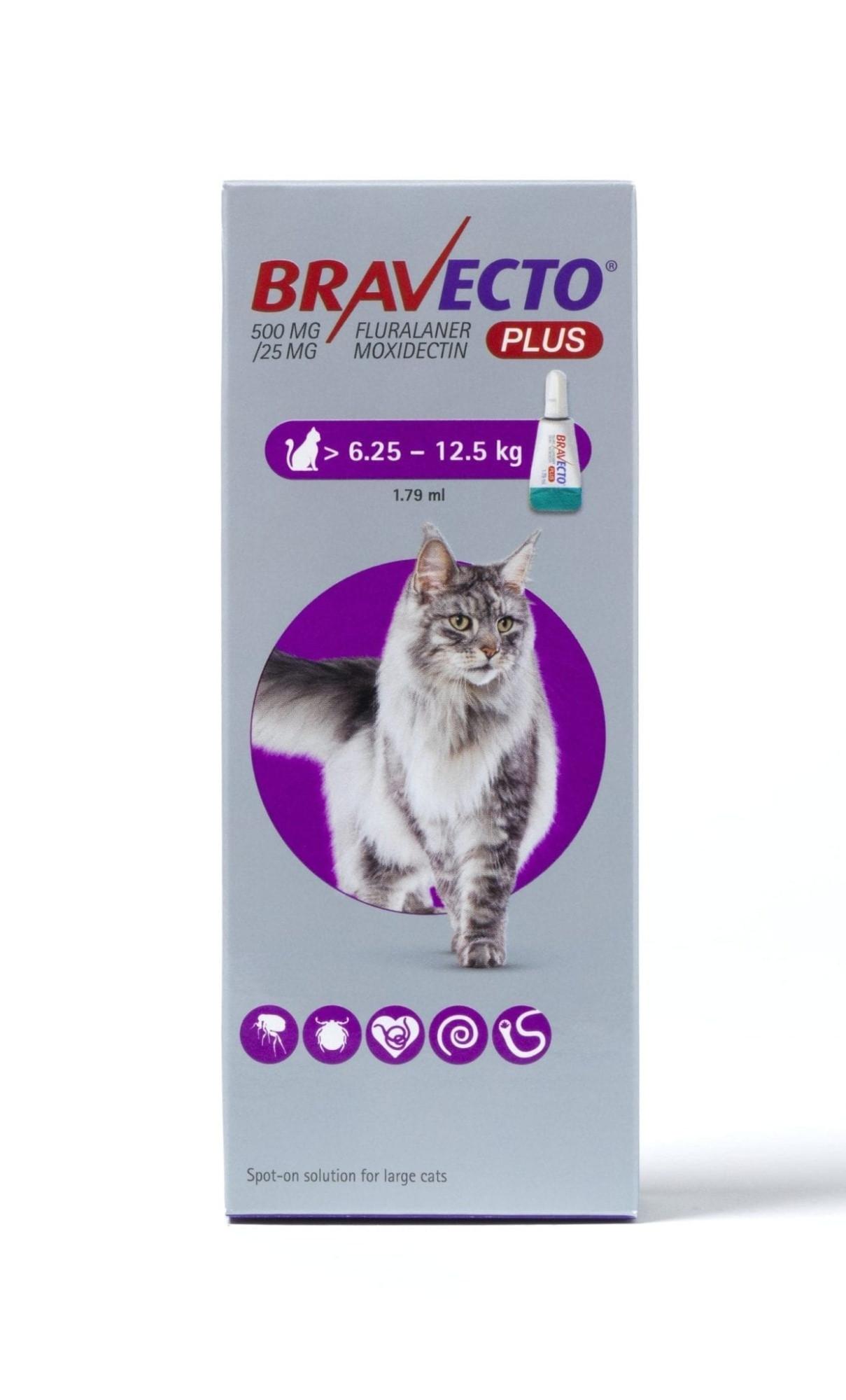 Bravecto Plus Spot On Solution for Cats Image https://cdn11.bigcommerce.com/s-g585yu857h/images/stencil/1280w/products/14211/24375/Bravecto-Plus-Spot-On-Solution-for-Cats-Single-Pipette-500mg-Large-Cat-6.25-12.5__58420.1764229556.jpg1
