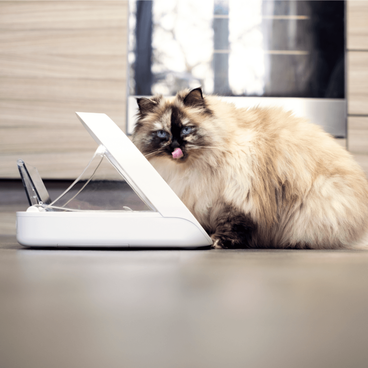 SureFeed Microchip Pet Feeder Connect - White Image https://cdn11.bigcommerce.com/s-g585yu857h/images/stencil/1280w/products/14212/24481/SureFeed-Microchip-Feeder-Connect__98351.1783595281.png1