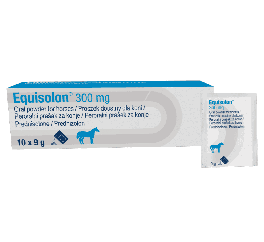 Equisolon 300mg Oral Powder for Horses - 10 x 9g Sachets Image https://cdn11.bigcommerce.com/s-g585yu857h/images/stencil/1280w/products/14213/24376/Equisolon-300mg-Oral-Powder-for-Horses-Pack-of-10-x-9G-sachets__57338.1764229556.png1