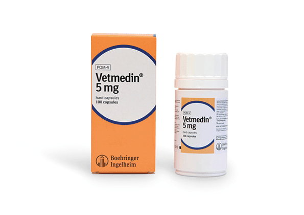 Vetmedin Capsules for Dogs 5mg - Single Capsule Image https://cdn11.bigcommerce.com/s-g585yu857h/images/stencil/1280w/products/14222/24385/Vetmedin-Capsules-5mg-Single-Capsule__75802.1764229562.png1