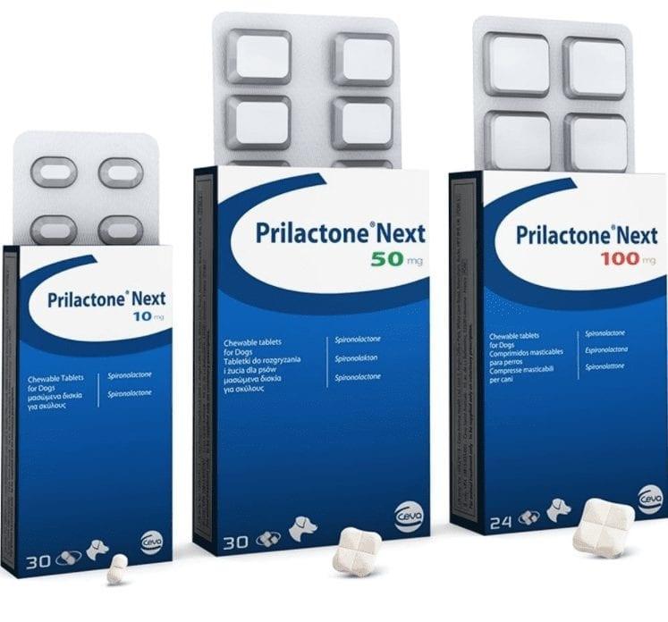 Prilactone Next Tablets for Dogs Image https://cdn11.bigcommerce.com/s-g585yu857h/images/stencil/1280w/products/14241/24401/Prilactone-Next-Tablets-for-Dogs-Single-Tablet-100mg__56173.1764229572.jpg1