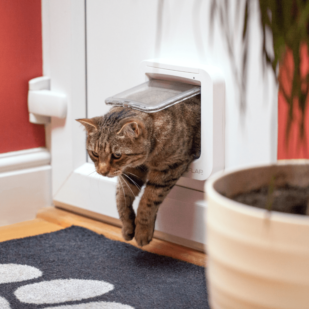 SureFlap Microchip cat flap - white Image https://cdn11.bigcommerce.com/s-g585yu857h/images/stencil/1280w/products/14317/24521/Microchip-cat-flap---White__08252.1764229649.png1