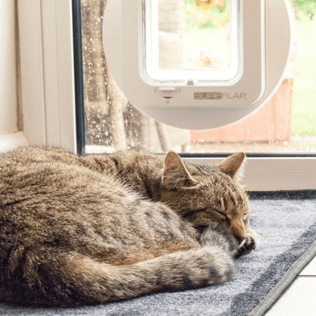 SureFlap Microchip cat flap - white Image https://cdn11.bigcommerce.com/s-g585yu857h/images/stencil/1280w/products/14317/24522/Microchip-cat-flap---White__80759.1764229649.png1