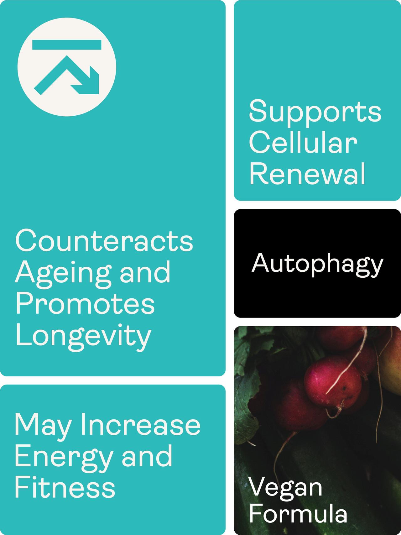 Youth & Earth Liposomal Spermidine 60 Capsules Image https://cdn11.bigcommerce.com/s-g585yu857h/images/stencil/1280w/products/14790/26674/5060732960664_6___33533.1776780247.jpg1