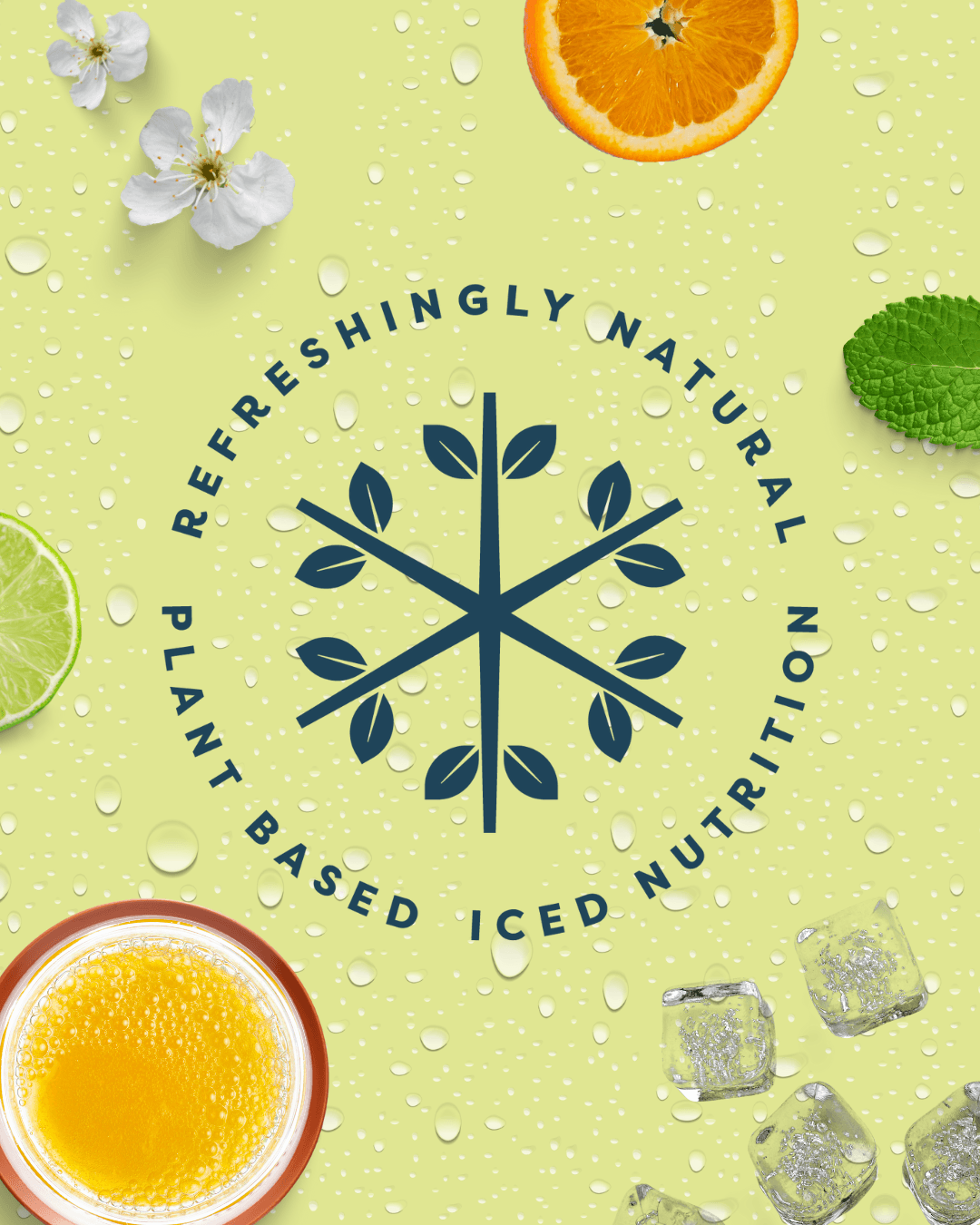 Icesupp Frozen Nutritional Supplement Mixed Berries 12 Pack Image https://cdn11.bigcommerce.com/s-g585yu857h/images/stencil/1280w/products/14818/27014/icesupp_Art_Refreshingly_Natural__62068.1785920092.png1