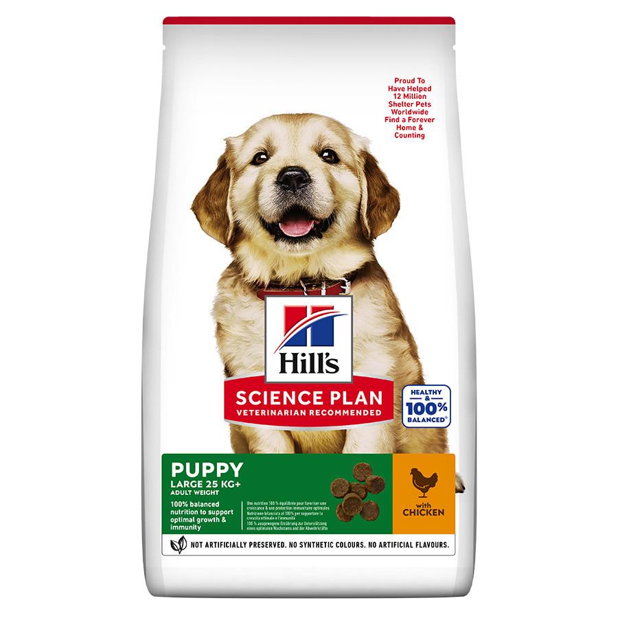 Hill's Science Plan Large Puppy Dry Dog Food Chicken Image 1