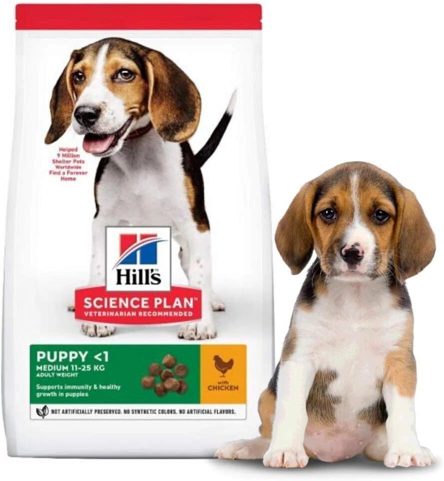 Hill's Science Plan Medium Puppy Dry Dog Food Chicken Image 1
