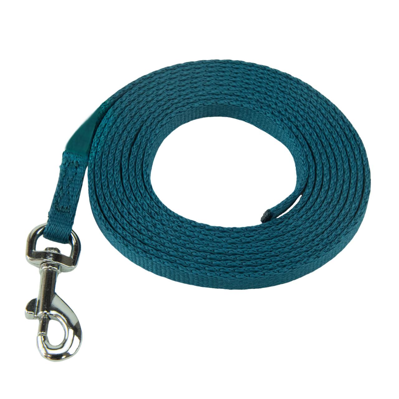 Coachi Puppy & Mini Training Line Teal for Dogs Image 1