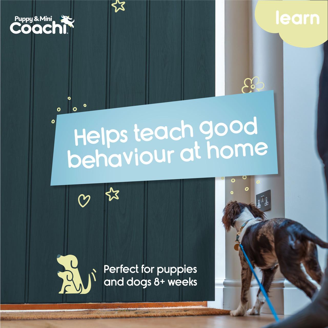 Coachi Puppy & Mini Training Line Teal for Dogs Image https://cdn11.bigcommerce.com/s-g585yu857h/images/stencil/1280w/products/15291/27933/Coachi-Puppy--26-Mini-Training-Line-Teal__41305.1772820385.jpg1