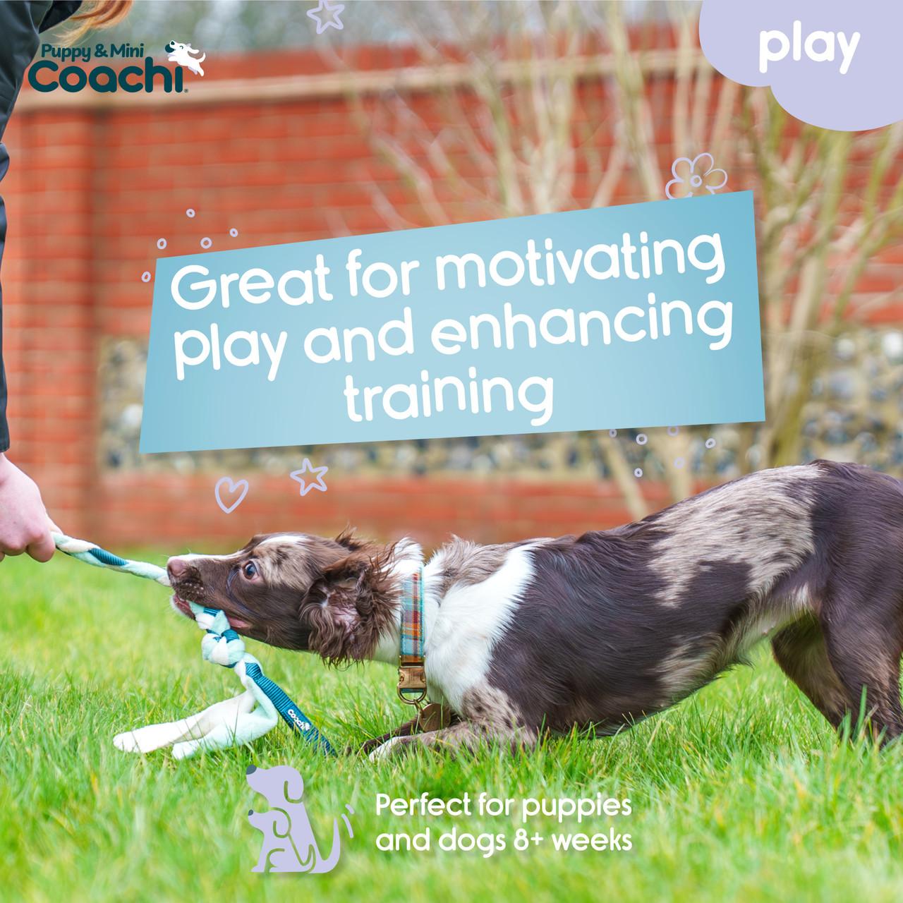 Coachi Puppy & Mini Tuggi Tug Teal & Mint for Dogs Image https://cdn11.bigcommerce.com/s-g585yu857h/images/stencil/1280w/products/15300/27934/Coachi-Puppy--26-Mini-Tuggi-Tug-Teal--26-Mint__59195.1772820385.jpg1