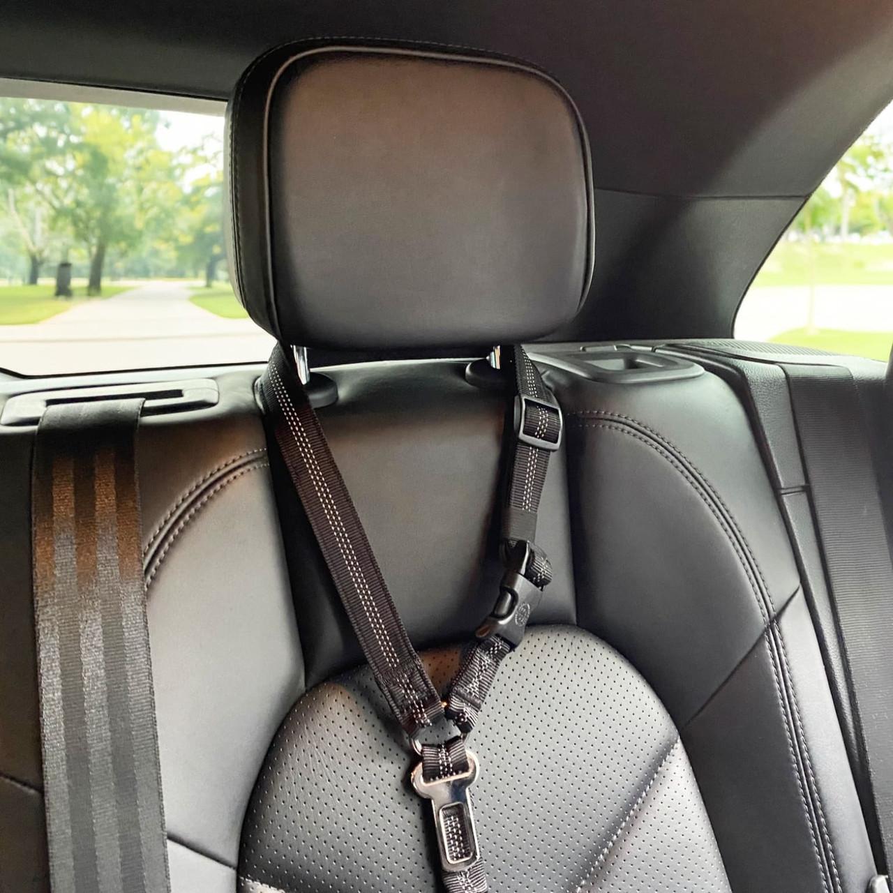 BullyBillows Headrest Car Seatbelt Safety Travel Accessory for Dogs Image https://cdn11.bigcommerce.com/s-g585yu857h/images/stencil/1280w/products/15307/27696/BullyBillows-Headrest-Car-Seatbelt-Safety-Travel-Accessory__10651.1772545748.jpg1