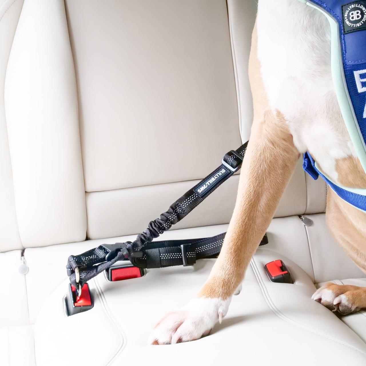 BullyBillows Headrest Car Seatbelt Safety Travel Accessory for Dogs Image https://cdn11.bigcommerce.com/s-g585yu857h/images/stencil/1280w/products/15307/27699/BullyBillows-Headrest-Car-Seatbelt-Safety-Travel-Accessory__87279.1785920276.jpg1