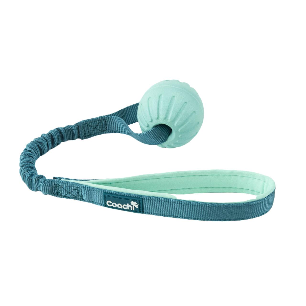 Coachi Puppy & Mini Tuggi Ball Teal & Mint for Dogs Image 1