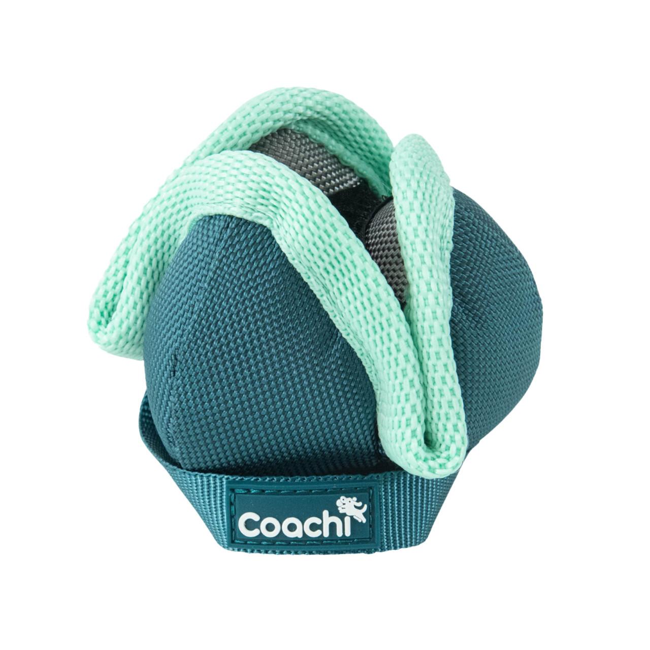 Coachi Puppy & Mini Chase & Treat Teal & Mint for Dogs Image 1