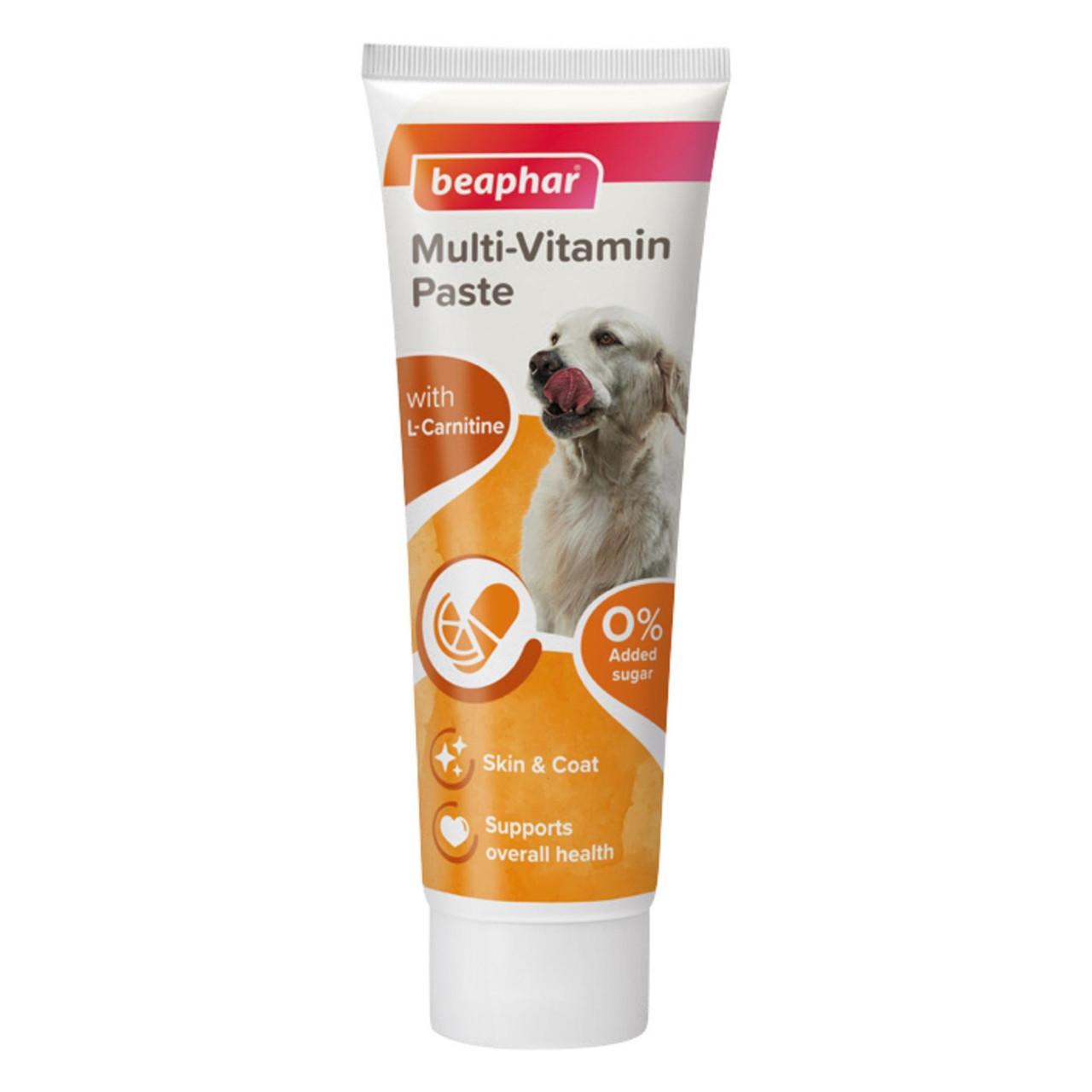 Beaphar Multi-Vitamin Paste for Dogs Image 1