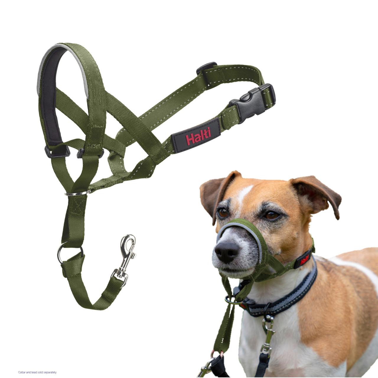 Halti Headcollar Forest Green Image 1