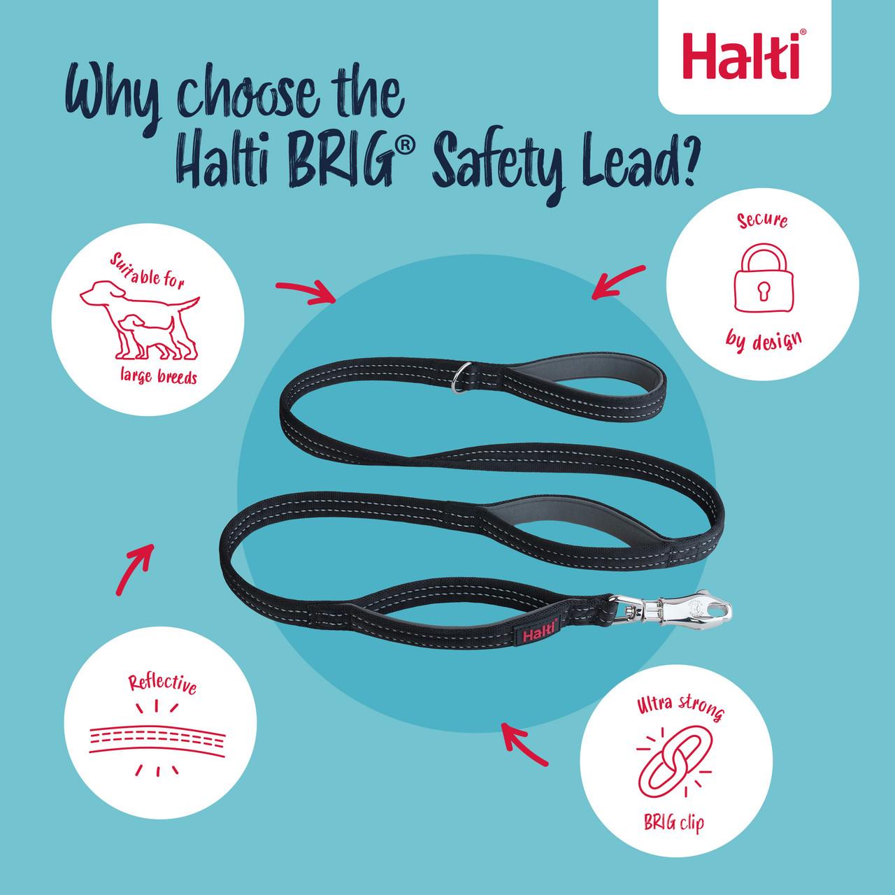 Halti BRIG Safety Lead Large Image 1
