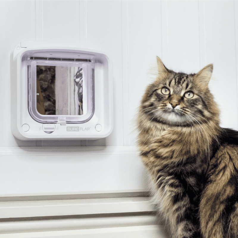 SureFlap Microchip Cat Flap Connect - White and Hub Image https://cdn11.bigcommerce.com/s-g585yu857h/images/stencil/1280w/products/15566/28219/Microchip-Cat-Flap-Connect---White-and-Hub__55254.1785920540.png1