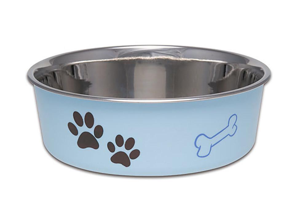 Bella Bowls Small Murano Blue Dog Bowl Image 1