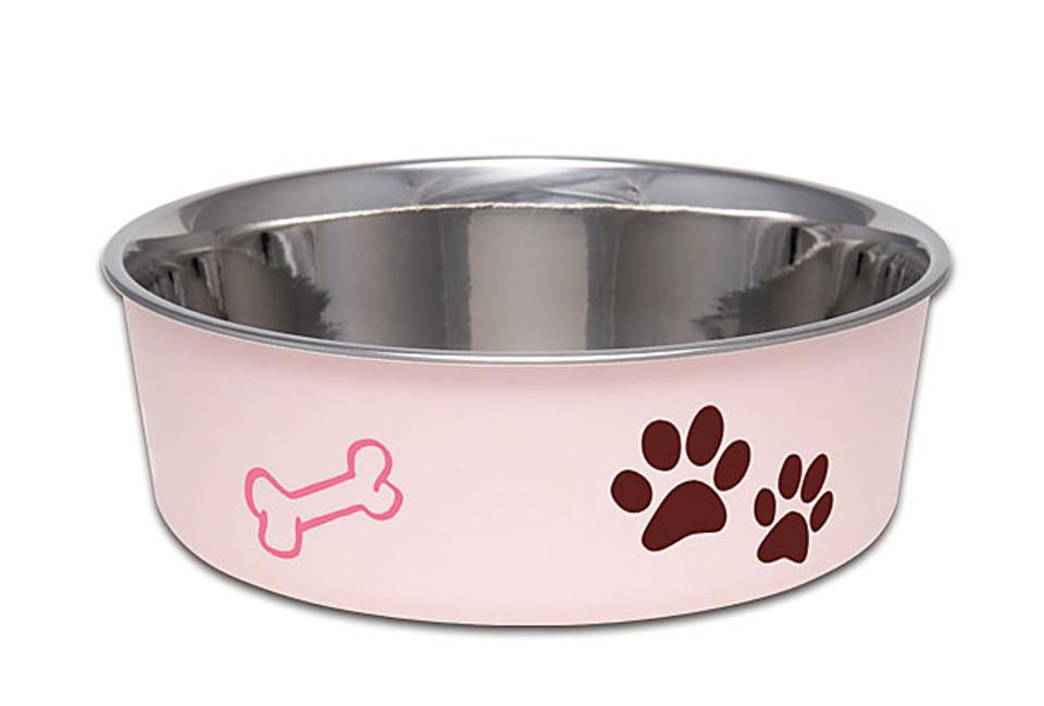Bella Bowls Small Paparazzi Pink Dog Bowl Image 1