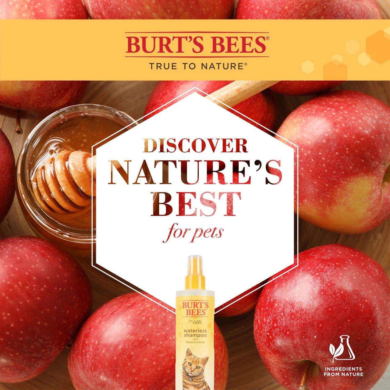 Burt's Bees Waterless Shampoo For Cats 10oz Image 1